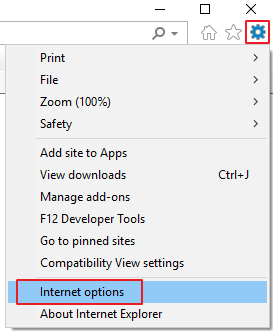 IE options menu